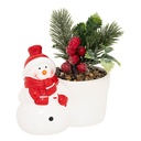 PLANTE POT PN BN H13 ASS2