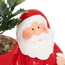 PLANTE POT PN BN H13 ASS2