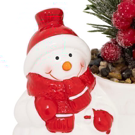 PLANTE POT PN BN H13 ASS2