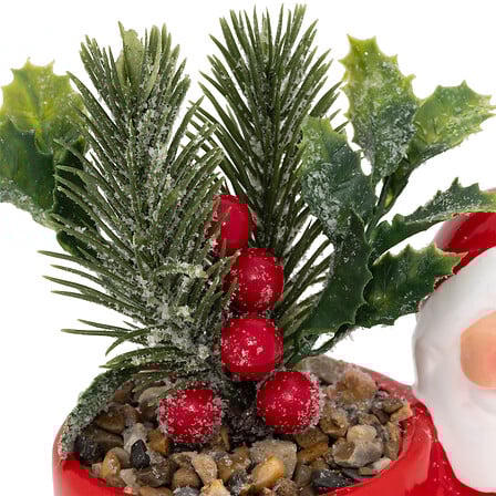 PLANTE POT PN BN H13 ASS2