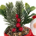 PLANTE POT PN BN H13 ASS2