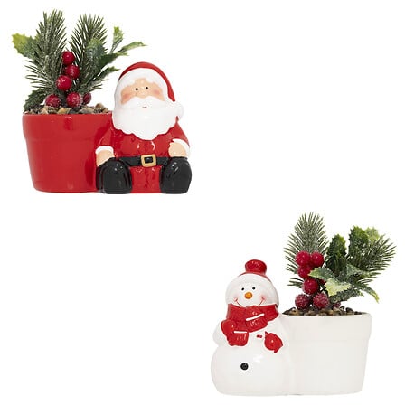 PLANTE POT PN BN H13 ASS2