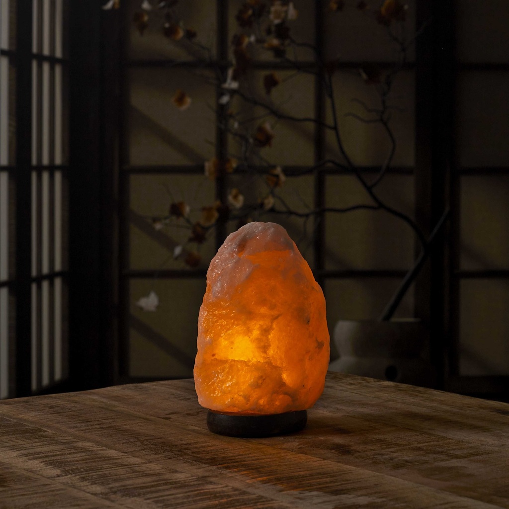 LAMPE DE SEL SOCLE BOIS