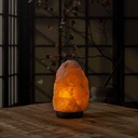 LAMPE DE SEL SOCLE BOIS