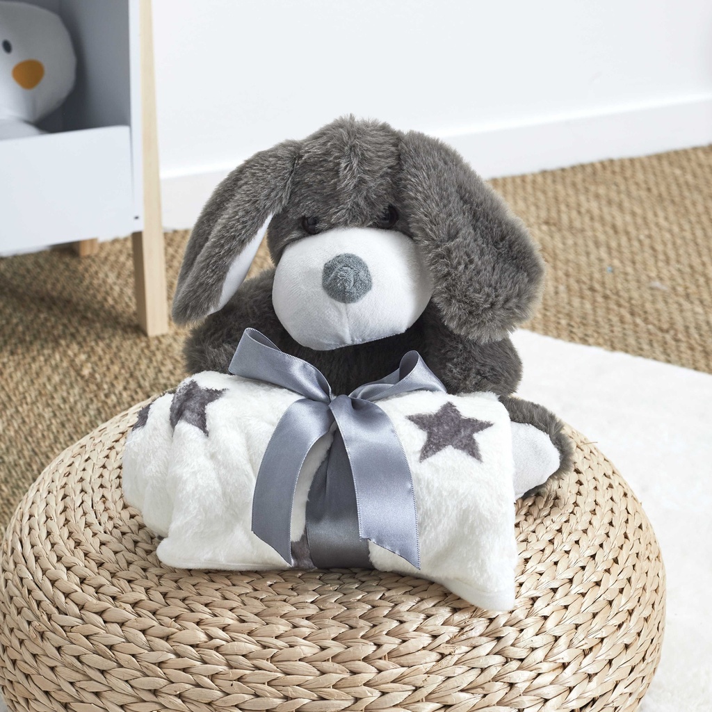 PELUCHE CHIEN 20CM PLAID 70X70CM