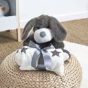 PELUCHE CHIEN 20CM PLAID 70X70CM