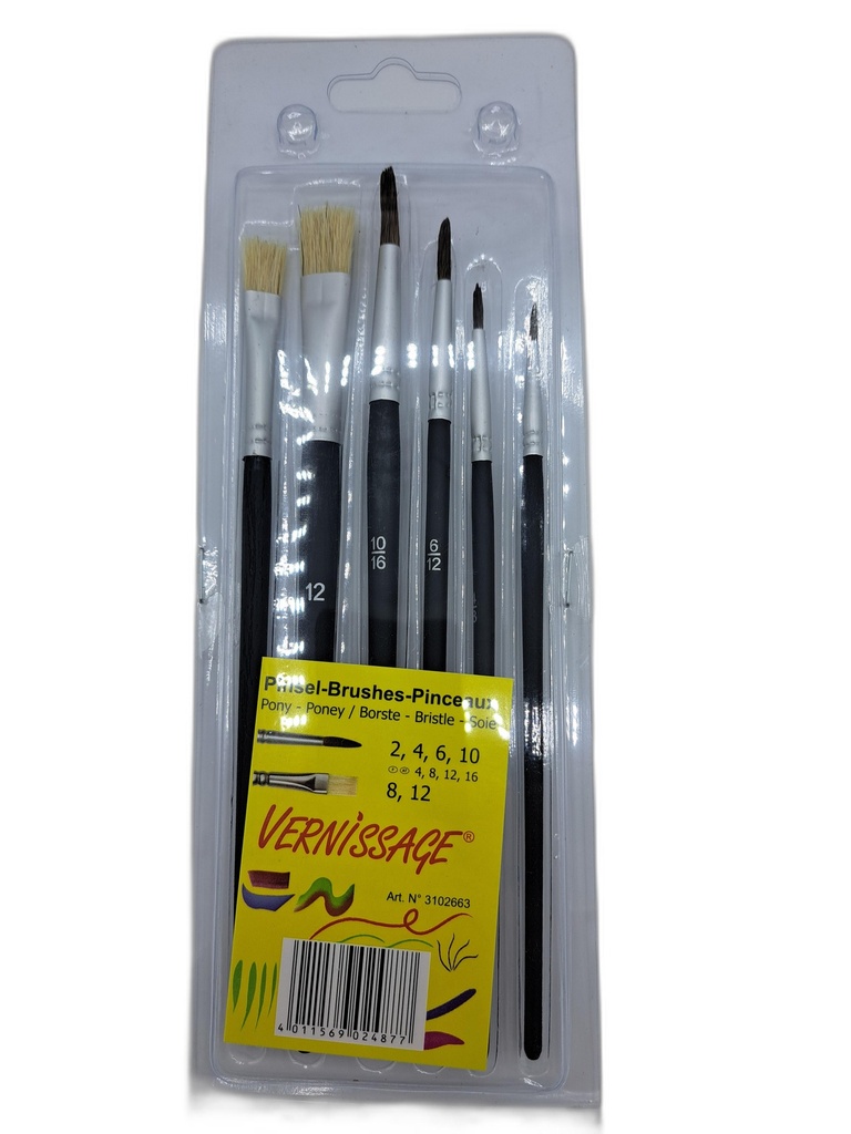 SET DE 6 PINCEAUX 2-4-6-10 PL 8-1