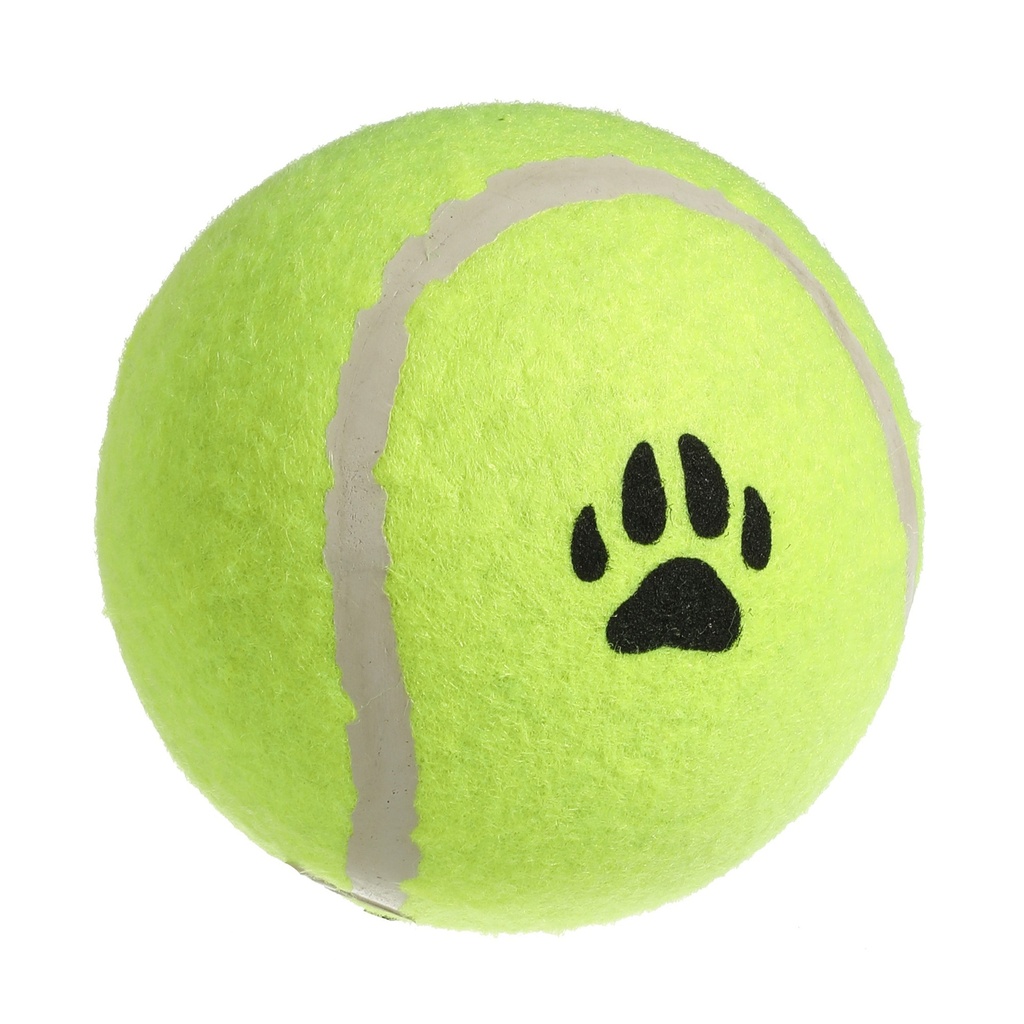 JOUET BALLE TENNIS TGM X1