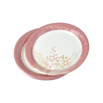 SET DE 10 ASSIETTES EN CARTON D18CM PAMPA