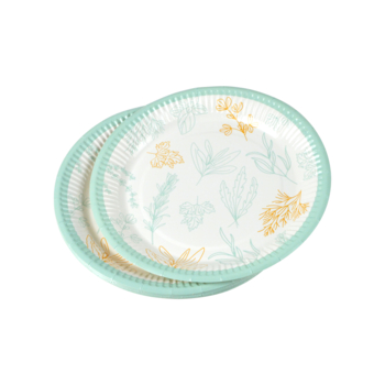 SET DE 10 ASSIETTES EN CARTON D18CM AROMATES