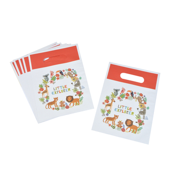 SET DE 6 SACS A BONBONS EN PAPIER H23CM EXPLORATEUR