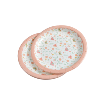 SET DE 6 ASSIETTES EN CARTON D18,5CM PRINCESSE NATURE