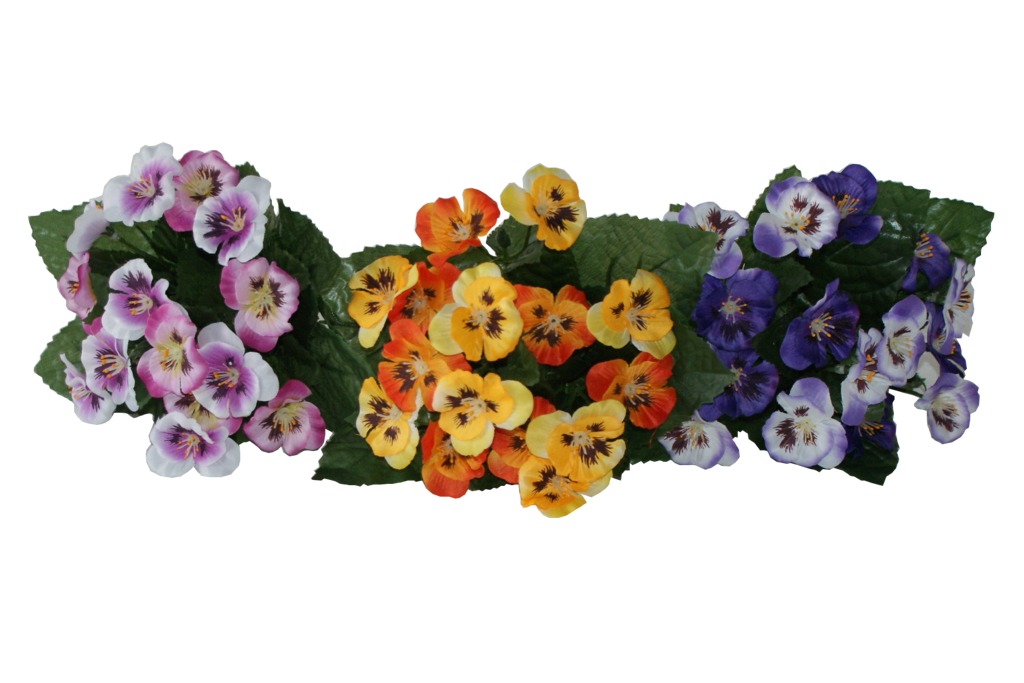 PANSY X7 ASST. 3 COLS