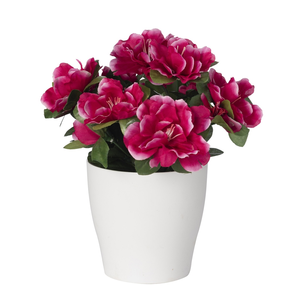 POT DECO AZALEE X9 FUSCHIA