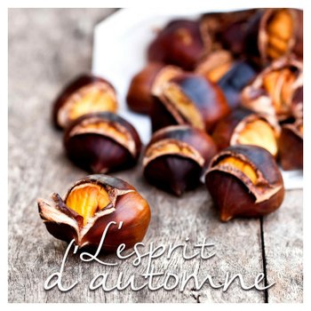 SET 20 SERVIETTES PAPIER MARRONS 3 PLIS 33*33CM