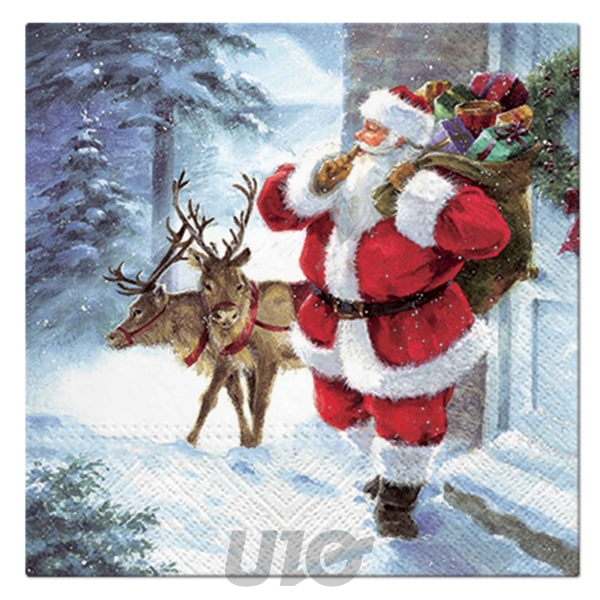 SET DE 20 SERVIETTES EN PAPIER - 3 PLIS - 33x33CM - MOTIF PÈRE NOËL ET SES RENNES
