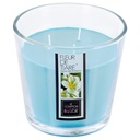 BOUGIE PARFUMÉE EN VERRE - NINA - FLEUR DE TIARE - 500G