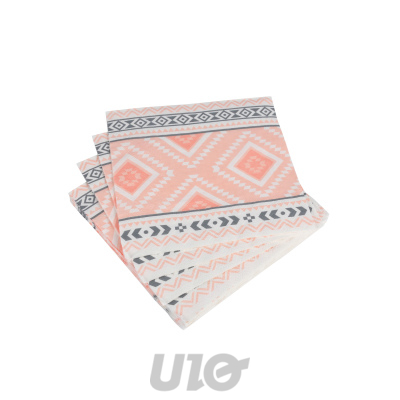 SET DE 20 SERVIETTES EN PAPIER 3 PLIS 33*33CM ETHNIC