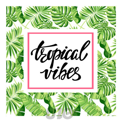 SET DE 20 SERVIETTES EN PAPIER 3 PLIS 33*33CM TROPICAL VIBES