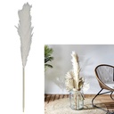 PAMPA NATURELLE H120CM
