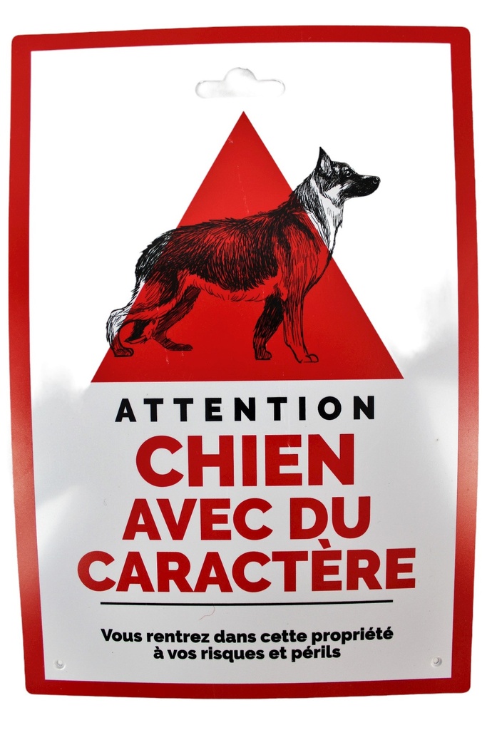 PLAQUE ATTENTION AU CHIEN 25X17CM - PLASTIQUE