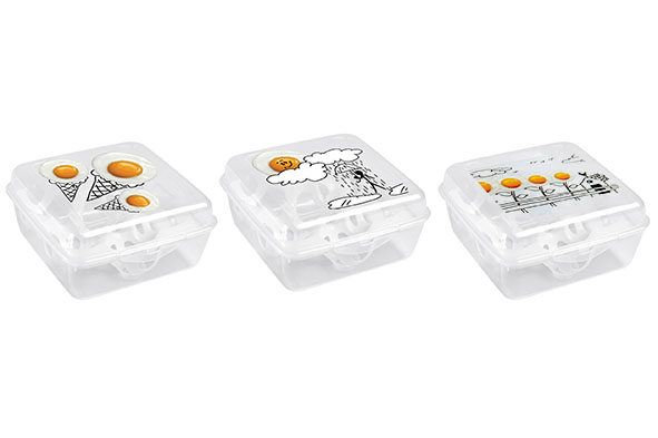 Boîte à Œufs 6 Places Plastique Transparent - 3 Motifs Assortis