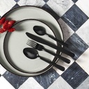 MÉNAGÈRE 16 PIÈCES NOIR HARMONY