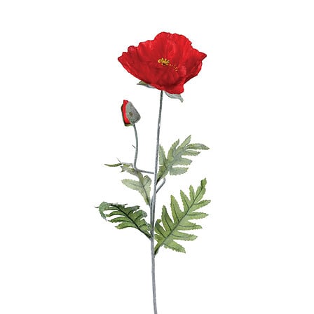 TIGE DE COQUELICOT ROUGE - H70CM