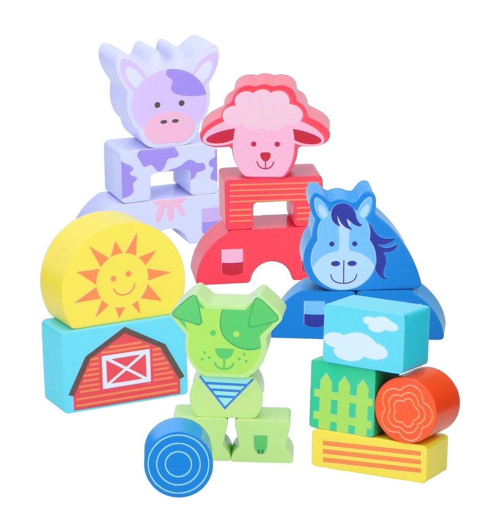 COFFRET BLOC DE CONSTRUCTION DE 20 PIÈCES