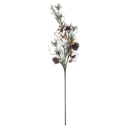 BRANCHE DE COTON ET BAIES - H78CM