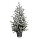 SAPIN FROSTY EN POT -  H100CM