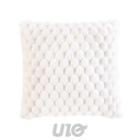 COUSSIN DÉHOUSSABLE 45x45 CM IMITATION FOURRURE/VELOURS FROSTY NATUREL