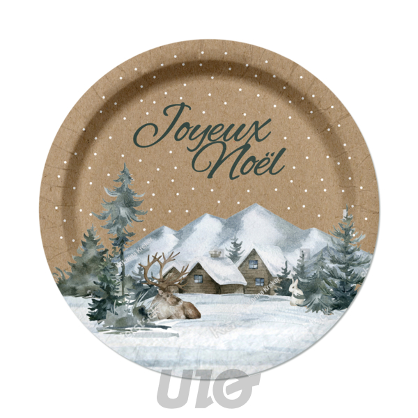 SET DE 6 ASSIETTES EN CARTON - D23CM - MOTIF COTTAGE