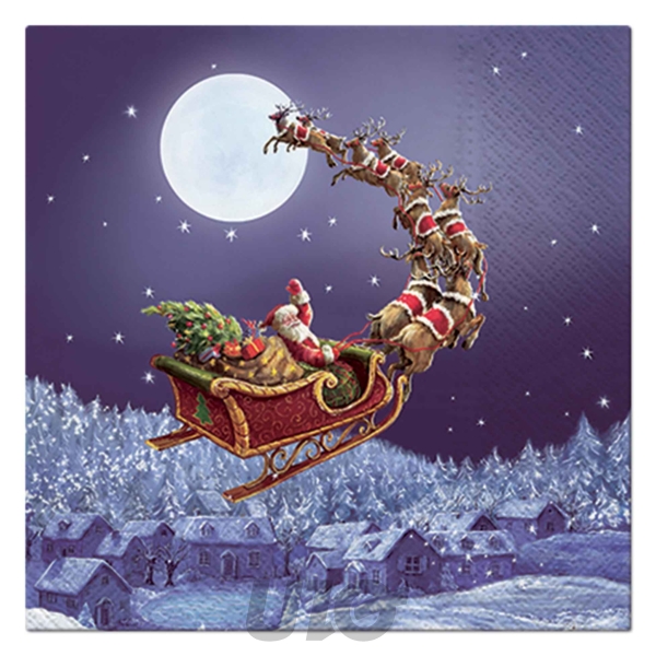 SET DE 20 SERVIETTES EN PAPIER - 3 PLIS - 33x33CM - MOTIF PÈRE NOËL ET SON TRAÎNEAU