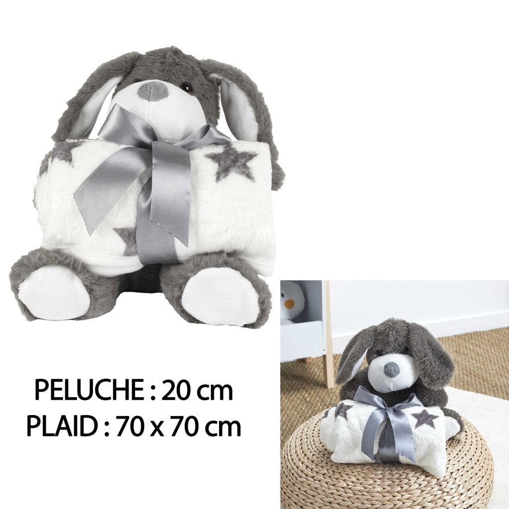 PLAID PELUCHE CHIEN - 20CM - 70X70CM