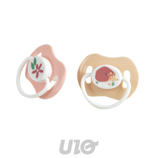 SET DE 2 TÉTINES EN SILICONE PHYSIOLOGIQUE 0-6MOIS HÉRISSON FORET MAGIQUE