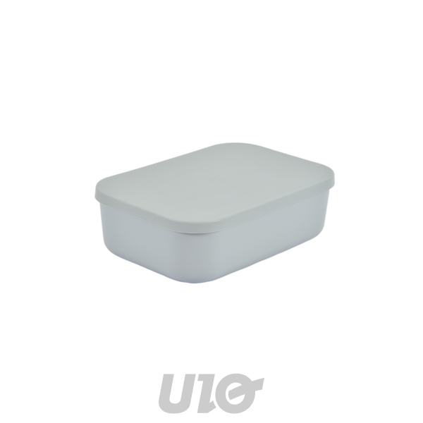 BOITE AVEC COUVERCLE PLASTIQUE 2,5L 24.5*18*H.8CM GRIS