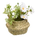 COMPOSITION FLORALE TIFI AVEC MARGUERITE - H20CM