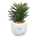 PLANTE GRASSE TERI EN FORME DE VISAGE -  H13CM - POT EN CIMENT - 4 COULEURS DISPONIBLES