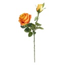 TIGE ROSE DEGRADÉ JAMES - H46CM