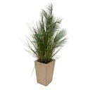 PALMIER EN POT EN CÉRAMIQUE WONJ - H142CM