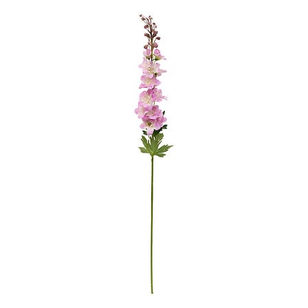 TIGE DELPHINIUM PHOEBE - H79CM