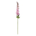 TIGE DELPHINIUM PHOEBE - H79CM