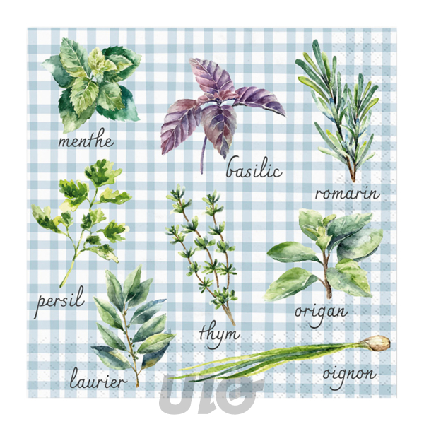 Homea Serviettes Papier Lot de 20, 3 Plis 33x33cm, Plantes Aromatiques Vichy