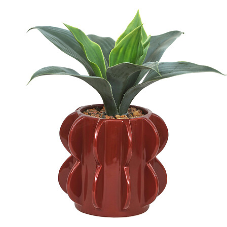 Atmosphera Agave Homy Plante Artificielle 27cm, Pot Céramique Bordeaux