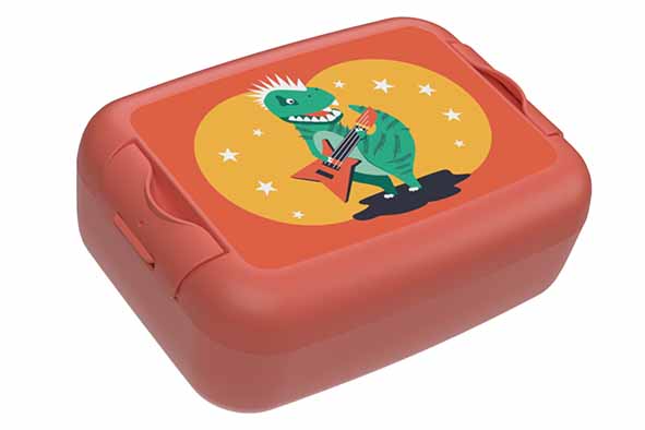 Day to Day Boîte repas enfant Dinosaure Rock Rose 17x12x6,5 cm
