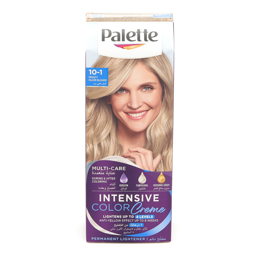Palette Intensive Color Cream couleur de cheveux 10-1 blond argenté