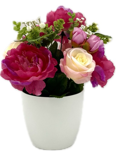 POT BLANC ROSE/PIVOINE X13 FUCHSIA