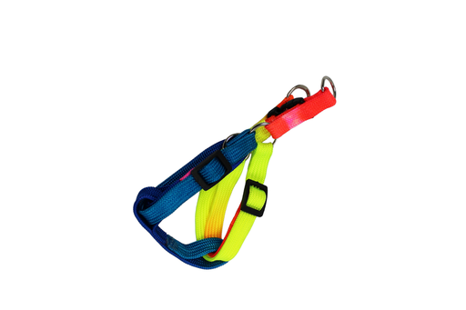 HARNAIS MINI ARC EN CIEL