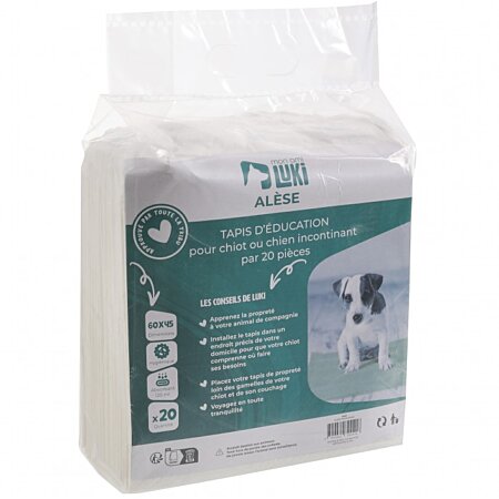 20 TAPIS D'EDUCATION 60X45 CM